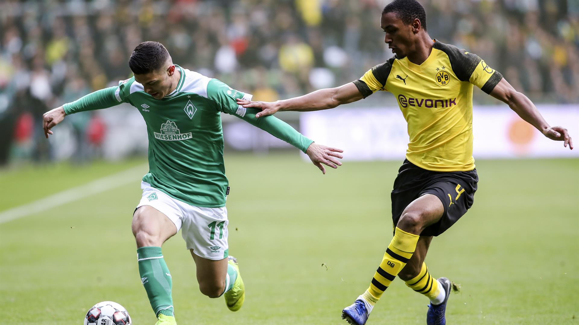 这意味着他 这意味着他