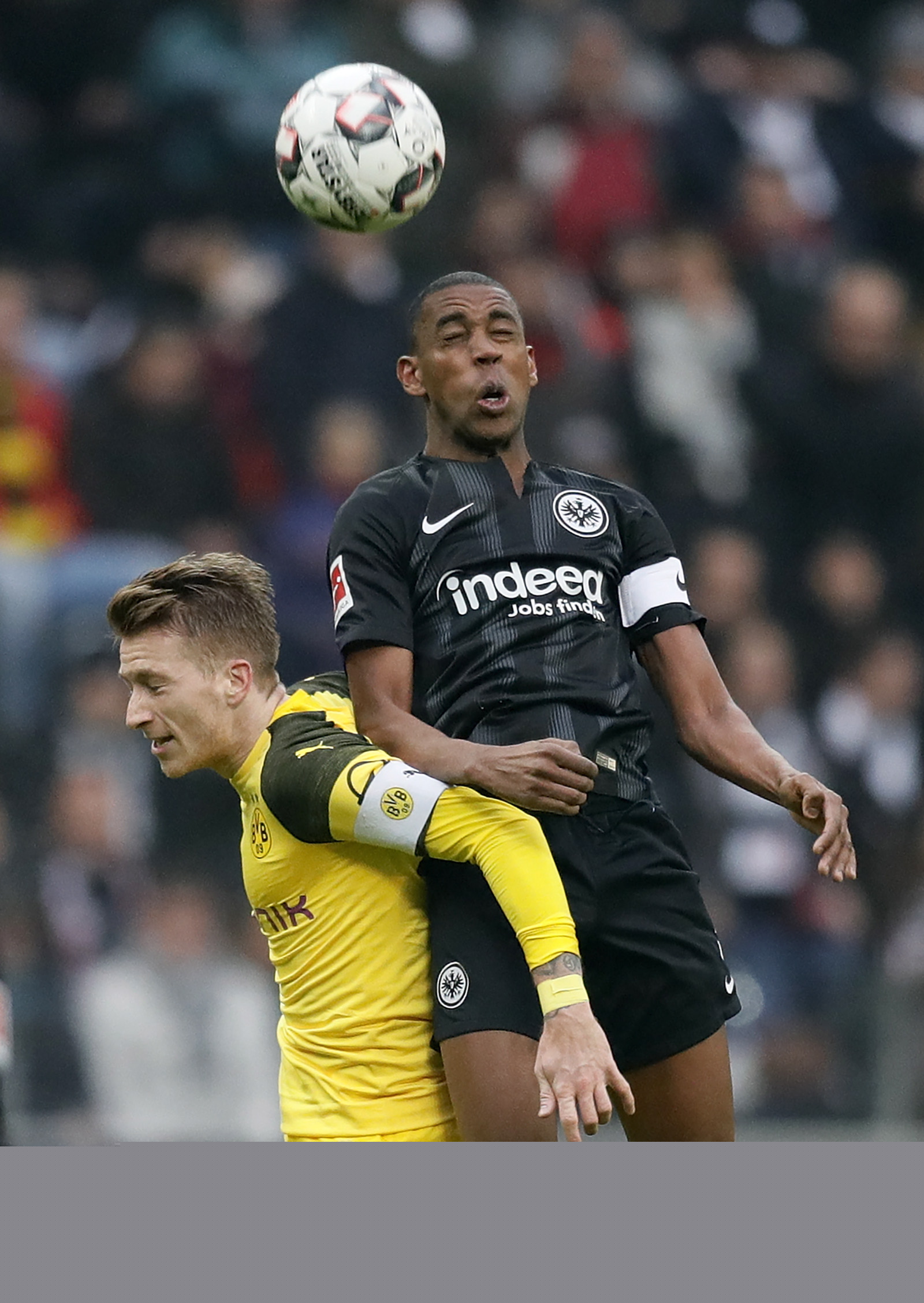 解释了为何 解释了为何